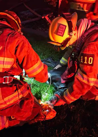 <p>Unified Fire/Instagram</p> Firefighters administer CPR to a dog they rescued from a Utah fire