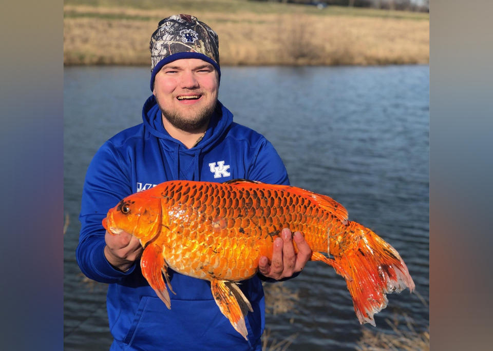 Kentucky fisherman Hunter Anderson was pleasantly surprised to reel in a giant goldfish with a surprising bait. Source: Cassie Anderson/Facebook