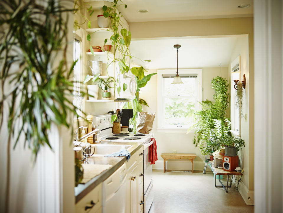 Plants make a room feel bigger, adding a hint of the outdoors and its wide, open spaces.