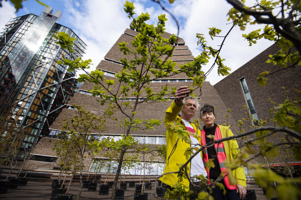 <p>Artists Heather Ackroyd and Dan Harvey stand within 100 oak saplings which form part of a living art installation entitled Beuys' Acorns by the UK-based artist duo, outside the Tate Modern in London. Picture date: Tuesday May 4, 2021.</p>
