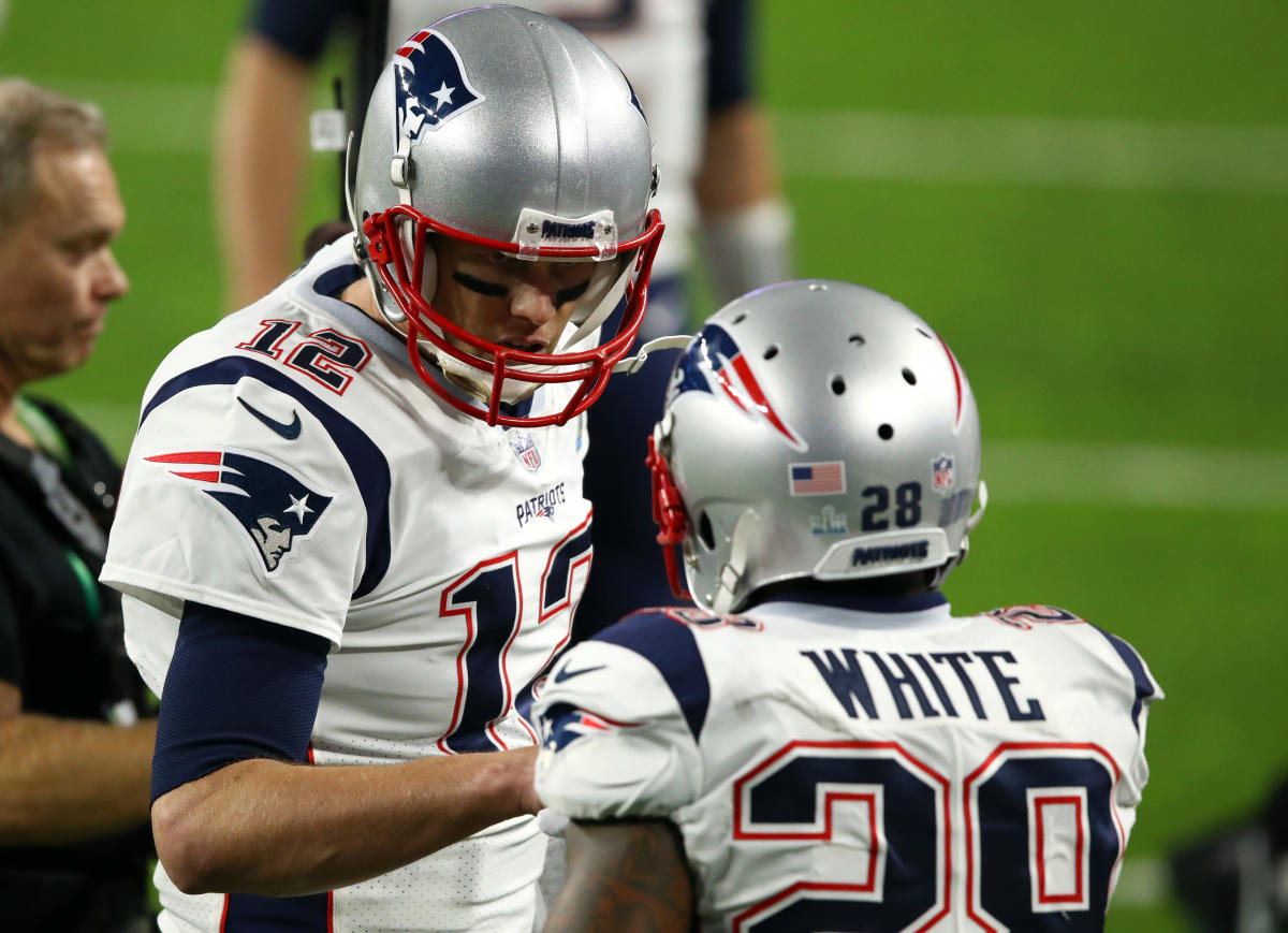 Former Badger James White makes name for himself as Patriots playoff  standout