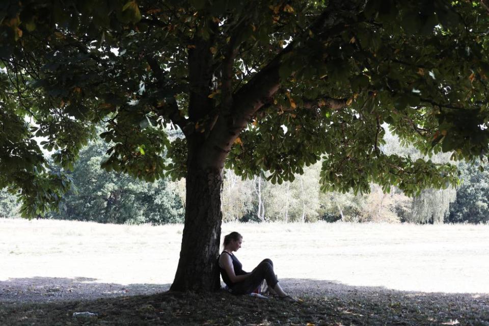 A woman stays out of the hot sun in Beckenham Place Park.