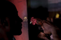 A man holds a rooster in a store that sells chickens in the Little Haiti neighborhood of Santo Domingo, Dominican Republic, Sunday, Nov. 21, 2021. Hundreds of thousands of Haitians are believed to live in the Dominican Republic, even before many fled Haiti in recent months in the wake of a presidential assassination, a 7.2 magnitude earthquake, a severe shortage of fuel and a spike in gang-related violence and kidnappings. (AP Photo/Matias Delacroix)