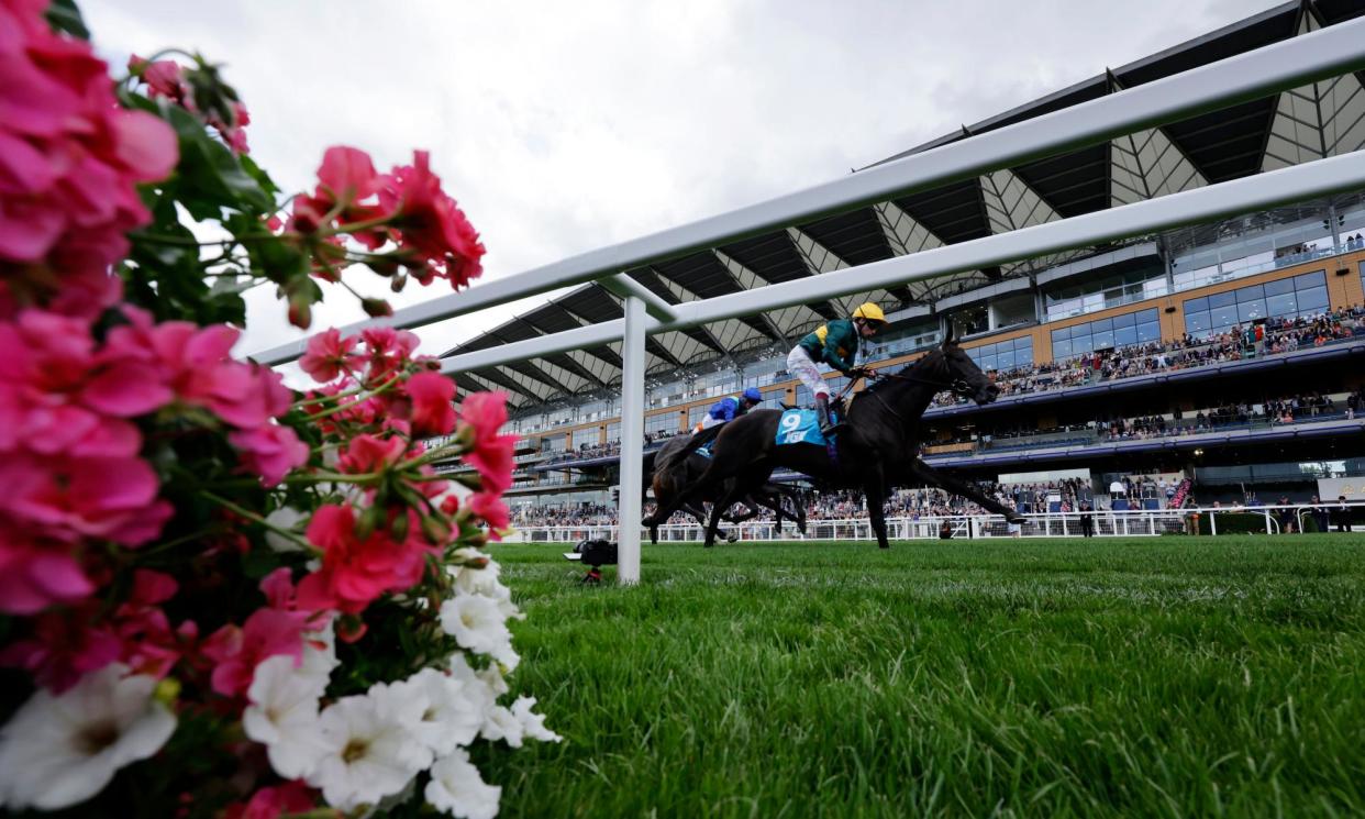 <span>Tactician wins the Brown Jack Handicap at Ascot on Friday but Rebel’s Romance could steal the show on Saturday.</span><span>Photograph: Steven Paston/PA</span>