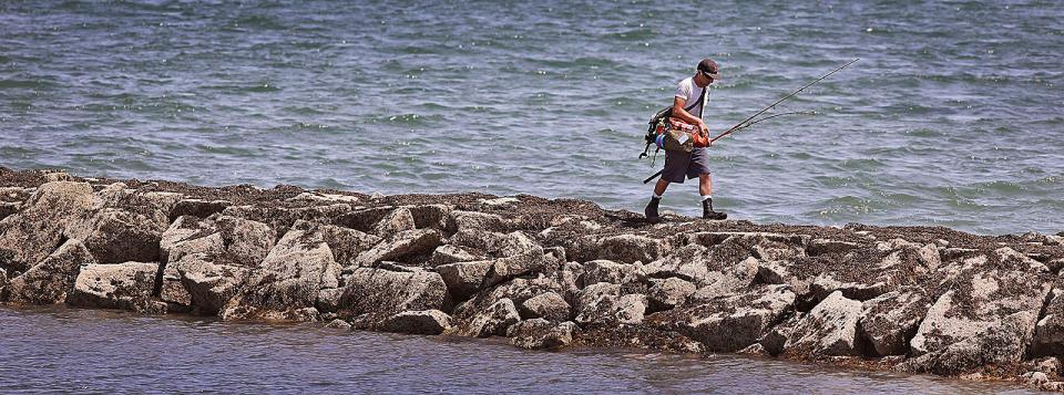 An angler walks the breakwater at Nut Island in Quincy while fishing in Quincy Bay on Monday, May 23, 2022.