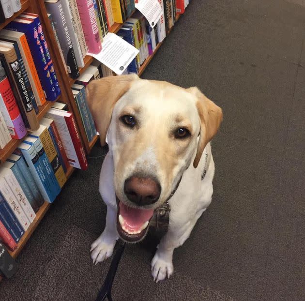 Beau loves the smell of bookstores. (Photo: Courtesy of Tracy Strauss)