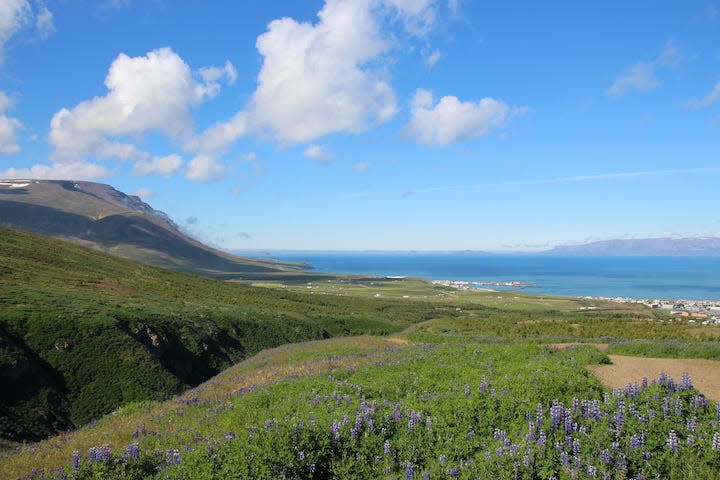 A team of scientists from Jacksonville State University will spend the summer on an archeological research trip to Iceland in hopes of uncovering the mysterious lives of ancient Viking settlers.