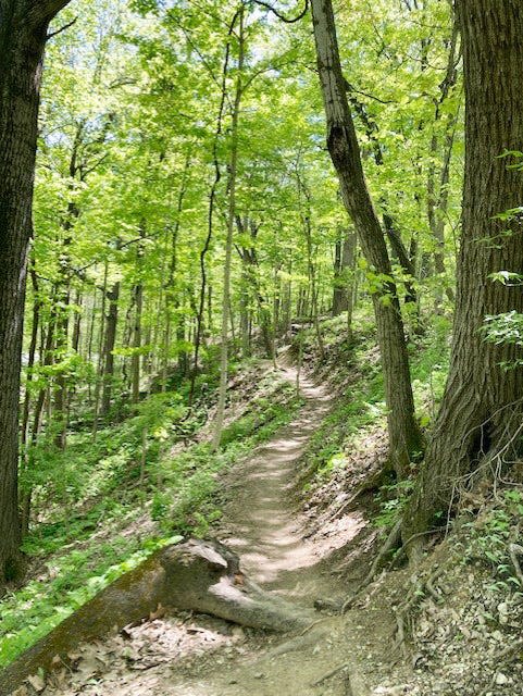 The Schoen Creek Trail in Fort Harrison State Park has ridges, woods, wetlands and more.