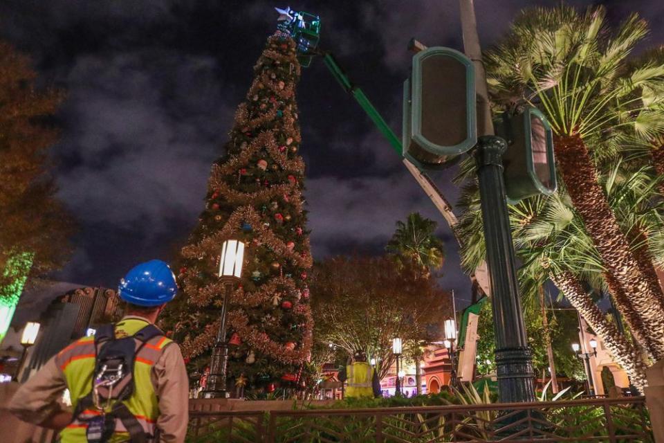 Disneyland putting up their tree in 201
