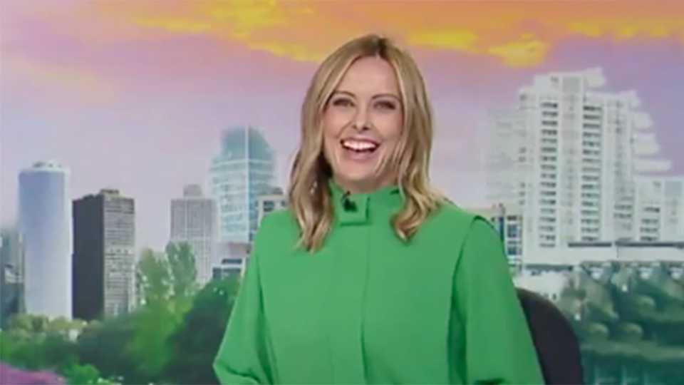 Allison Langdon says Karl Stefanovic struggles with flatulence on Today