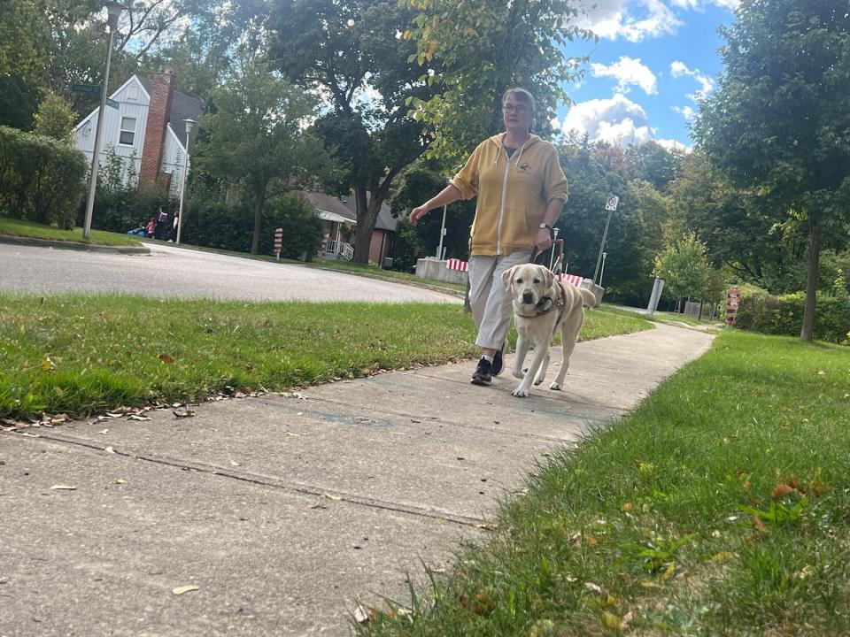 Avril Rinn, guided here by Louie, is legally blind. She's rethinking whether it's worth getting another guide dog after Louie, saying access to public spaces has become more difficult as more people bring service and comfort dogs into public spaces. 