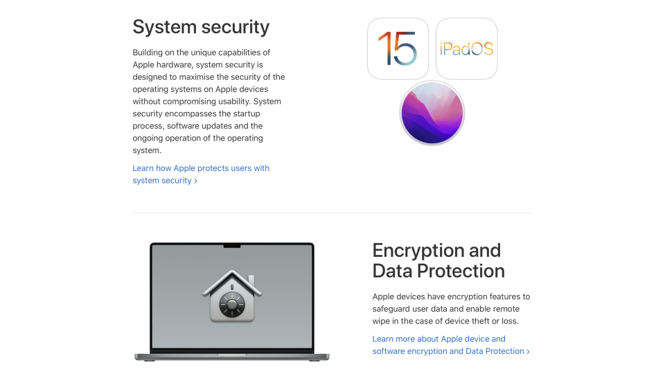 Screenshot of some of Apple's security measures