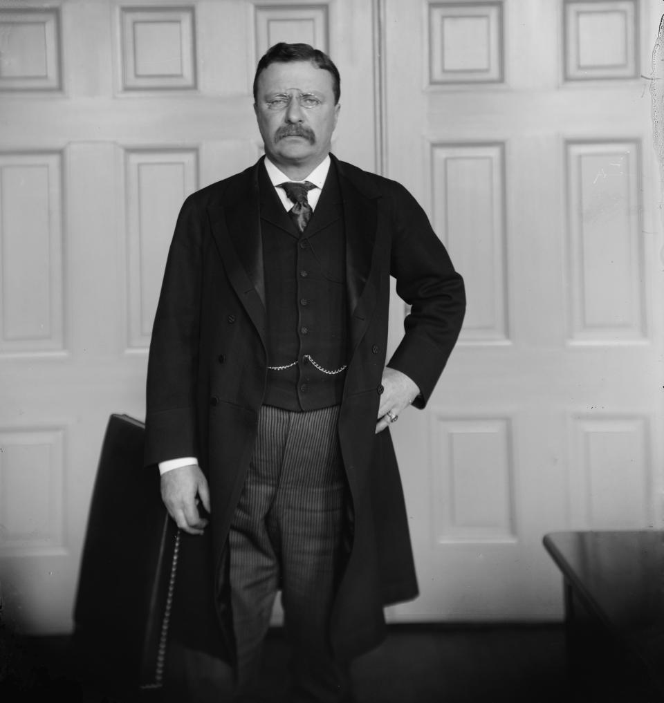 Theodore Roosevelt