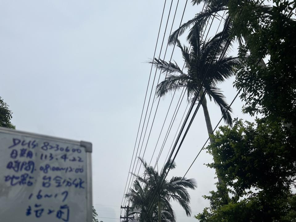 台電承攬商修剪樹木，不慎有樹竹掉落誤觸高壓線路致饋線跳脫，造成龍潭區橫岡下、銅鑼圈段、福源路等一帶共687戶停電。   圖：台電公司／提供