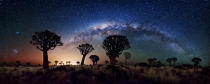 The southern winter sky shows off its best in this 240 degree view of the Milky Way behind the Quiver Tree Forest near Keetmanshoop, Namibia. Both Magellanic clouds are visible on the left, while the central bulge of our own galaxy contrasts with the warm glow of light pollution from the nearby town. (Florian Breuer, South Africa, Shortlist, Panoramic, Open Competition 2013 Sony World Photography Awards) <br> <br> <a href="http://worldphoto.org/about-the-sony-world-photography-awards/" rel="nofollow noopener" target="_blank" data-ylk="slk:Click here to see the full shortlist at World Photography Organisation;elm:context_link;itc:0;sec:content-canvas" class="link ">Click here to see the full shortlist at World Photography Organisation</a>