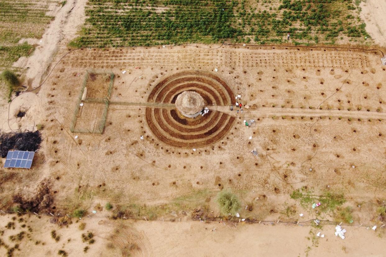 A circular garden in tan dirt with green vegetation nearby in Senegal