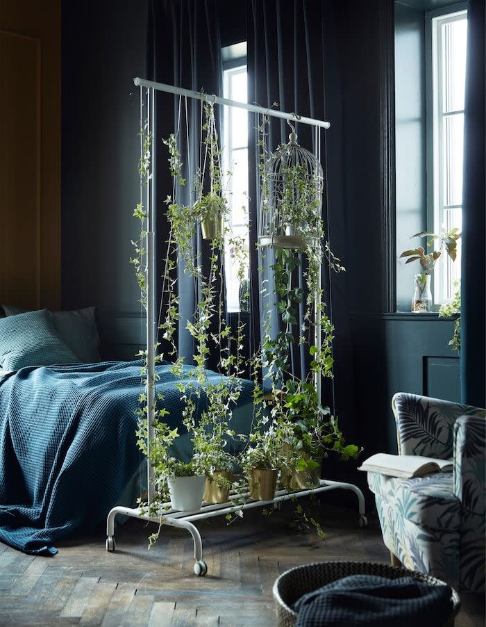 room divider ideas plants