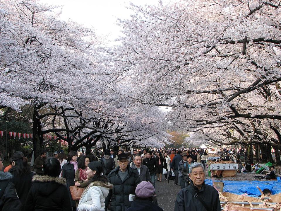 上野公園 (Photo by Bernard Gagnon, License: CC BY-SA 3.0, Wikimedia Commons提供)