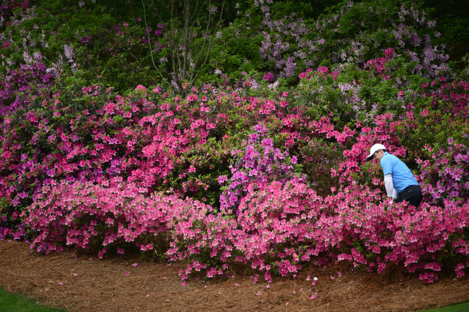 Rory McIlroy of Northern Ireland hits from the azalea's on No. 13 during the third round of the Masters at Augusta National Golf Club, Saturday, April 7, 2018. (Photo by Charles Laberge/Augusta National via Getty Images)