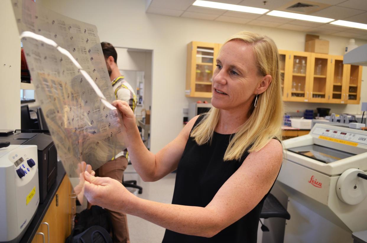 North Carolina State University Professor Heather Patisaul studies how exposures to hormone-mimicking chemicals such as BPA can shape brain development. Here she holds up scans of rat brains her lab studied as part of CLARITY-BPA. (Photo: Kate Sheppard/HuffPost)