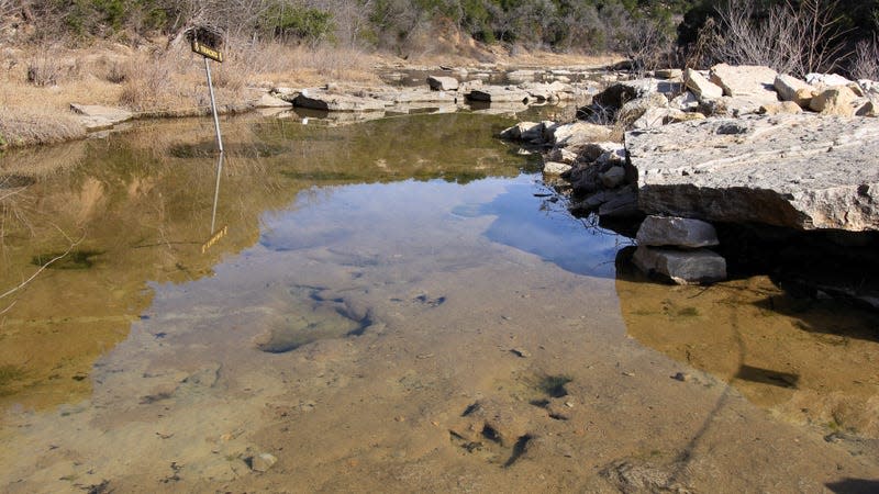 The underwater dinosaur trackways. - Photo: <a class="link " href="https://commons.wikimedia.org/wiki/File:Main_Track_Site_Dinosaur_Valley_State_Park_Texas_2023.jpg#/media/File:Main_Track_Site_Dinosaur_Valley_State_Park_Texas_2023.jpg" rel="nofollow noopener" target="_blank" data-ylk="slk:Wikimedia Commons;elm:context_link;itc:0;sec:content-canvas">Wikimedia Commons</a>