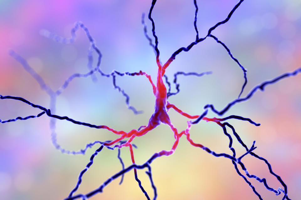 La neurona de la dopamina, el neurotransmisor que ayuda al cerebro controlar, entre otras cosas, las funciones relacionadas con las actividades que nos resultan placenteras y la culpable de nuestras adicciones. El binge-watch es un de ellas. (Imagen: Getty Creative)