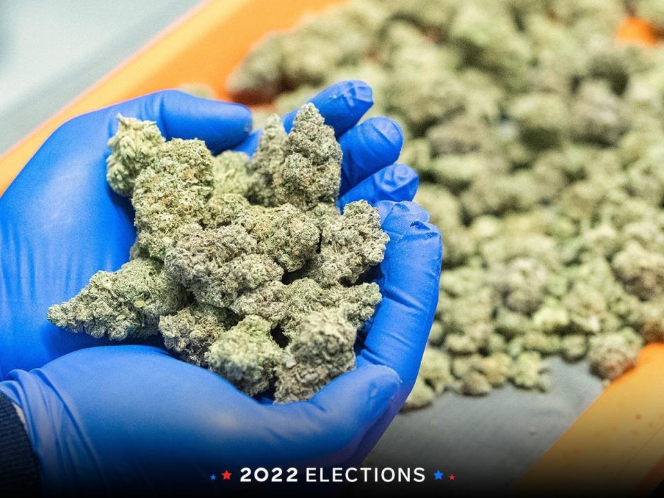 marijuana elections