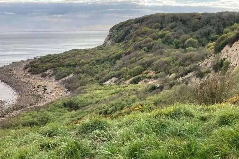 Covehurst Bay