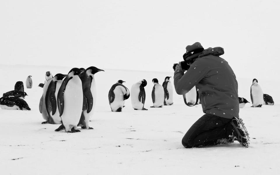 Luc Jacquet feierte mit "Die Reise der Pinguine" (2005) einen riesigen Erfolg, jetzt legt er mit "Rückkehr zum Land der Pinguine" nach. (Bild: Cédric Gentil/Expédition Wild-Touch Antarctica)