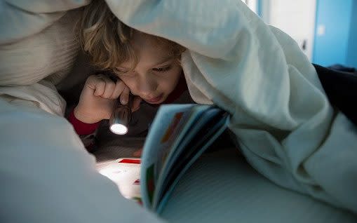 Boy reading book with flashlight - Credit: hero images