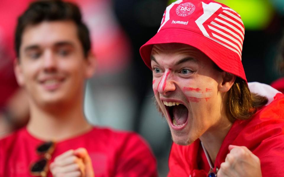 Fans cheer before the start of the World Cup group D soccer match between Denmark and Tunisia - AP