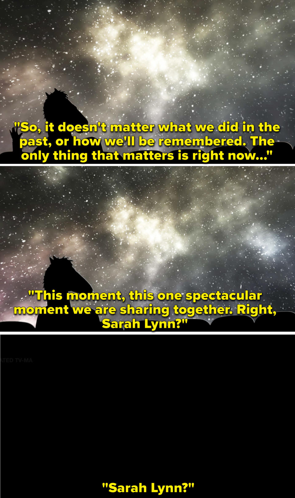 BoJack talking to Sarah Lynn and saying, "The only thing that matters is right now. This one spectacular moment we are sharing together"