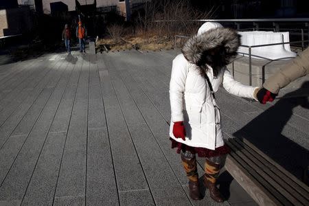 People walk along the High Line in the Manhattan borough of New York February 14, 2016. REUTERS/Andrew Kelly