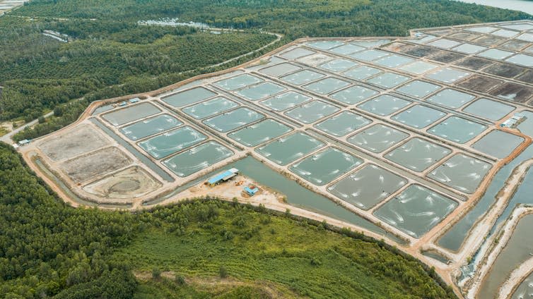 Large pools of water viewed from above