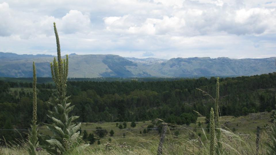 Las montañas de Córdoba