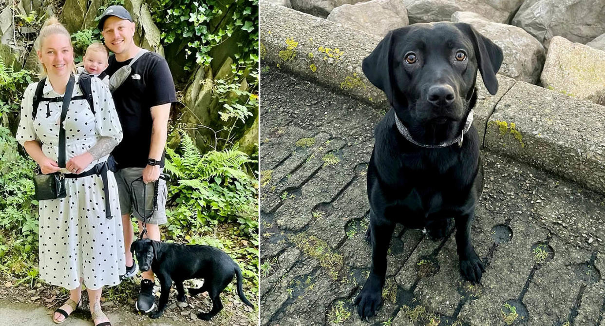 Sophie and Paul McDonnel, with their young son and pet labrador Maya. (SWNS)