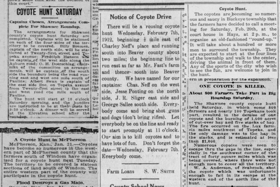 Kansas newspapers promote a variety of community coyote hunts. Top left: Topeka State Journal, 1910. Bottom left: Topeka State Journal, 1907. Middle: Liberal Democrat, 1912. Top right: Hays Free Press, 1915. Bottom right: Topeka State Journal, 1921.