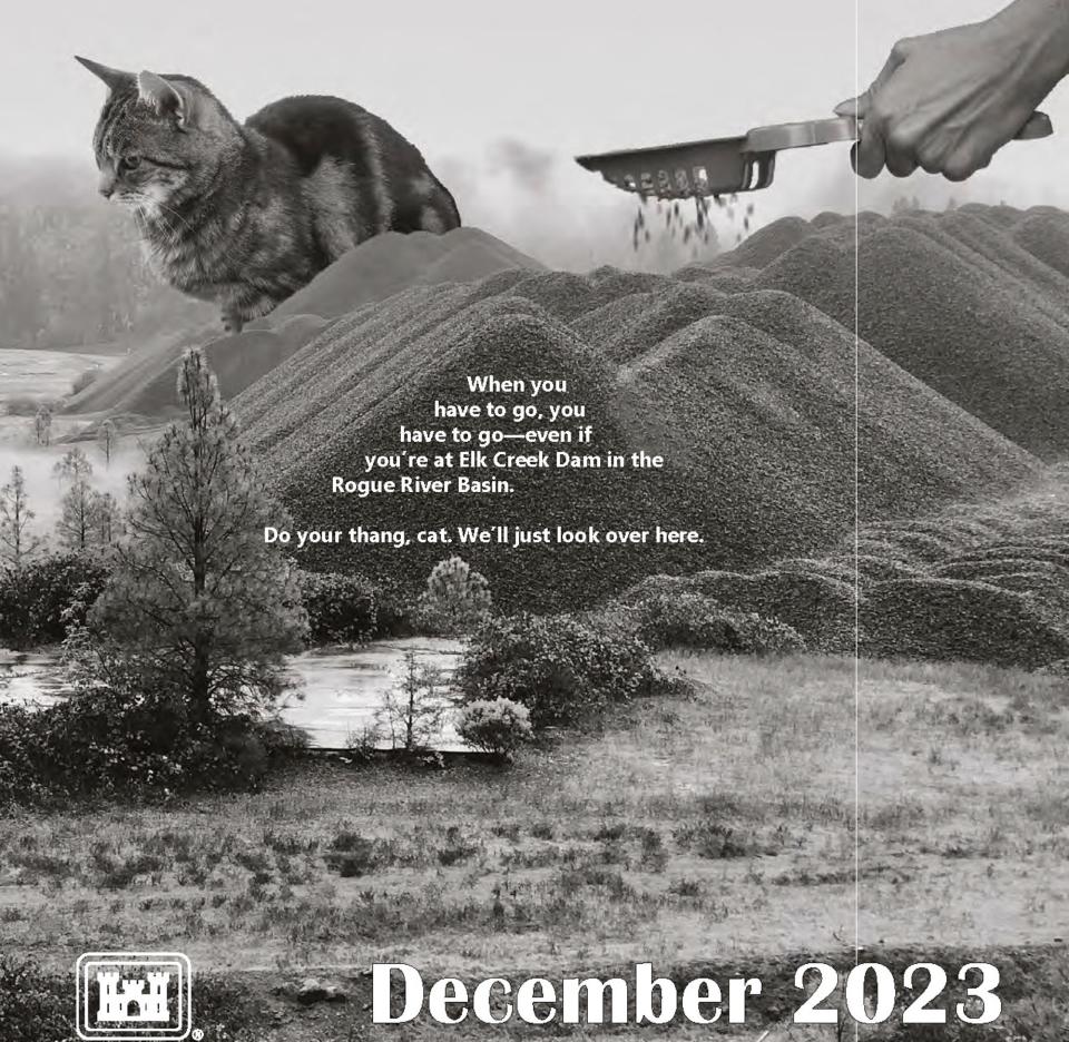 Must have cat calendar for 2023 by Army Corps of Engineers depicts