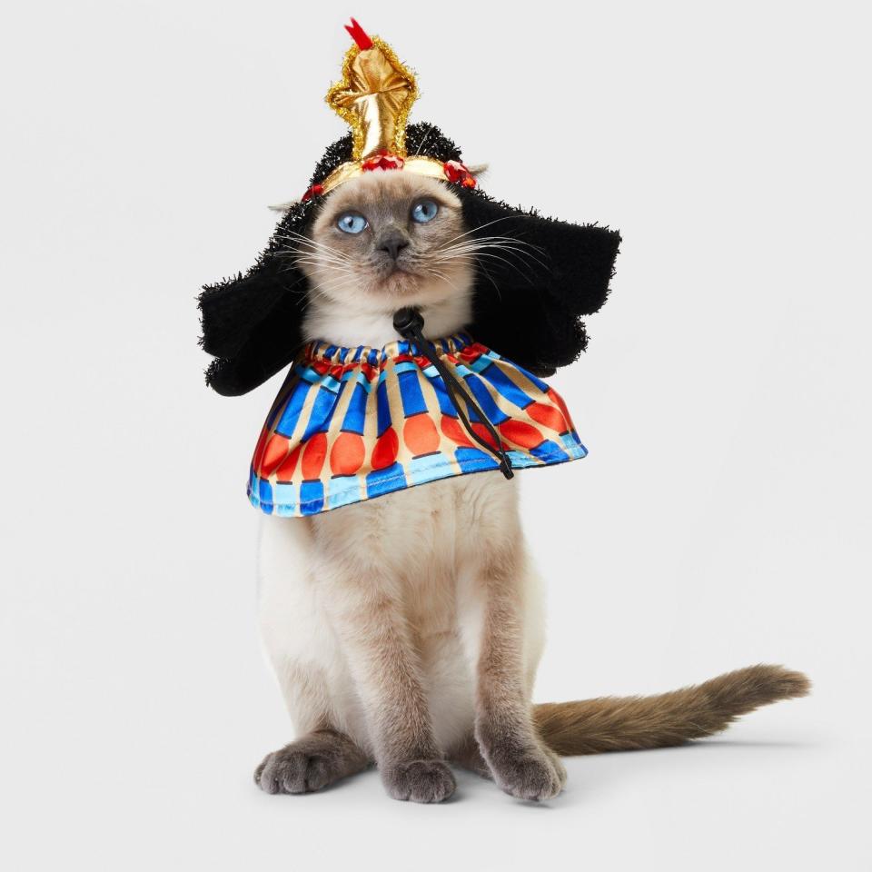 <a href="https://www.target.com/p/cat-costume-pharaoh-hyde-and-eek-boutique-153/-/A-53527617" target="_blank" rel="noopener noreferrer">Get it here</a>.&nbsp;