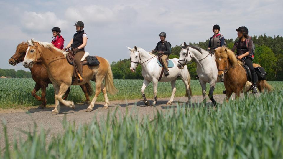 Wer viel Zeit auf dem Pferd verbringt, sollte den eigenen Körper mit Dehnübungen in Form halten. Foto: Patrick Pleul