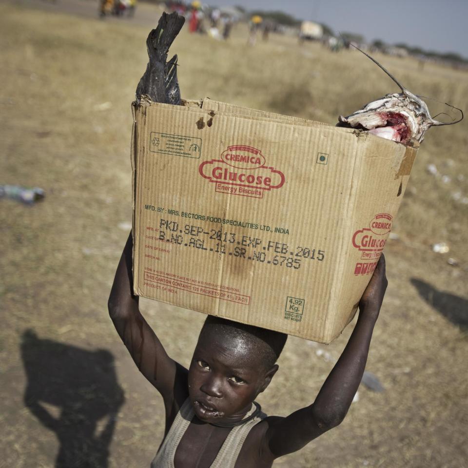 A displaced boy carries a fish, caught from the nearby Nile river, in a cardboard box on his head back to his relatives to eat, one of the thousands who fled the recent fighting between government and rebel forces in Bor by boat across the White Nile, in the town of Awerial, South Sudan Thursday, Jan. 2, 2014. The international Red Cross said Wednesday that the road from Bor to the nearby Awerial area "is lined with thousands of people" waiting for boats so they could cross the Nile River and that the gathering of displaced is "the largest single identified concentration of displaced people in the country so far". (AP Photo/Ben Curtis)