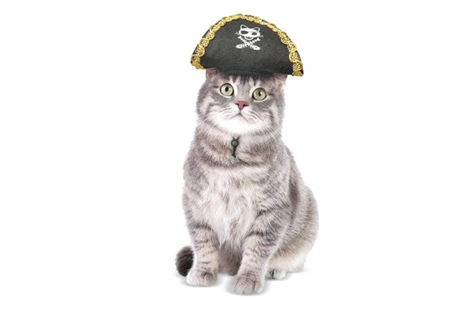 Pirates with Paws