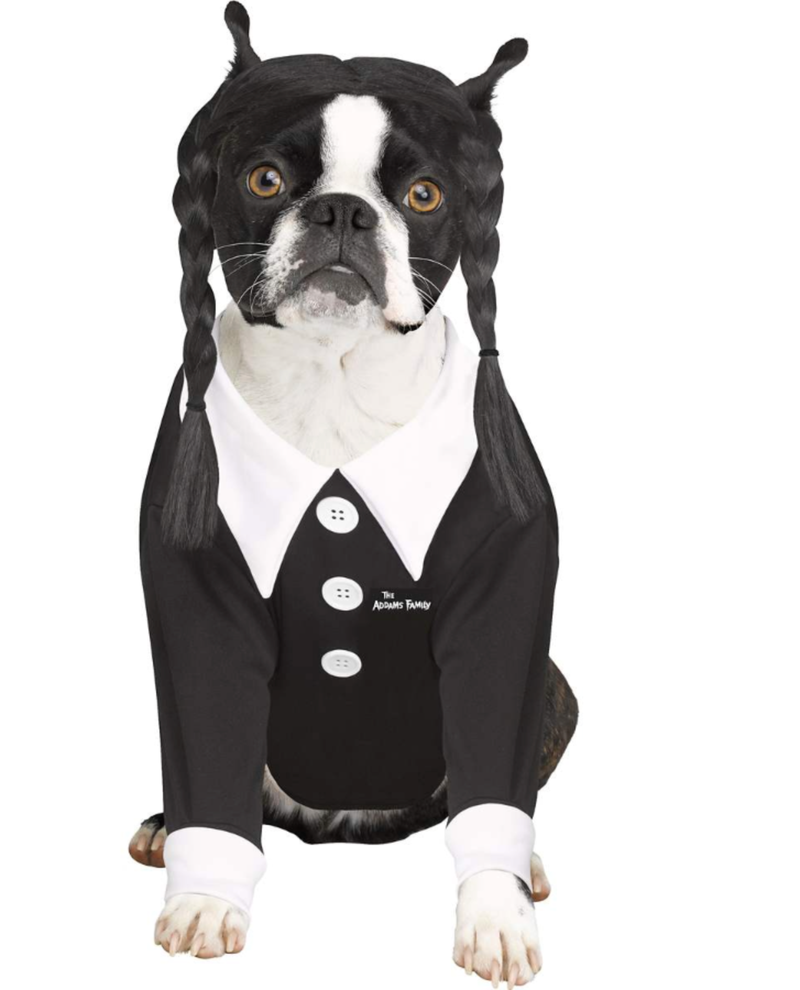 The Addams Family Wednesday pet costume