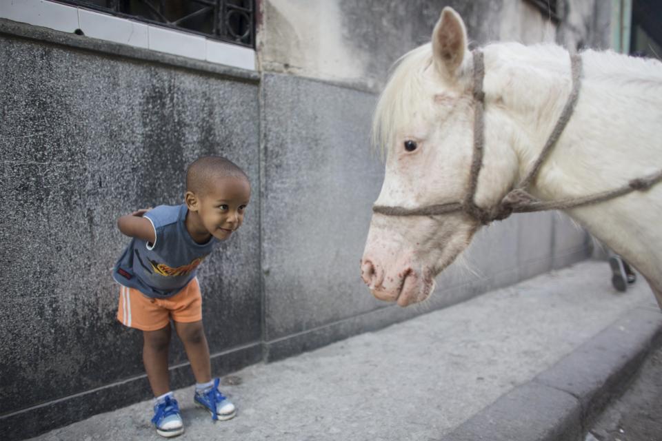 <span><b>20th most popular</b><br>Alexo Carmona, 2, looks at Coco, a two-year-old pony, in downtown Havana, March 6, 2015. (REUTERS/Alexandre Meneghini) </span>