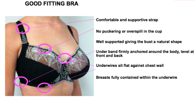 Bras N Things Has Upped Its Cup Sizes & Cue Cries Of Joy From Yr M8s With  Huge Knockers