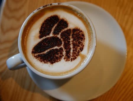 A Cappuccino stands on a table at a branch of Costa coffee in Manchester, Britain, March 18, 2016. REUTERS/Phil Noble/Files