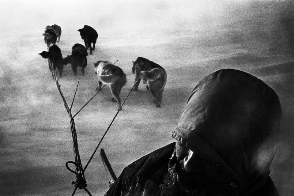 <p>A hunter and his dogsled caught in a snowstorm on their way home. Tiniteqilaaq, Greenland, 2000. “‘Whoa, whoa!’ Hans stops the dogs. I can feel it too; the ice below us is thin. Hans ceaselessly hacks the ice with the handle of his whip to see if it can bear our weight. We’re on our way to a land-locked lake to catch trout. Last night, with five dogs in the boat, we sailed from Tiniteqilaaq to the edge of the Amitsivardiva Fjord, Norway. Without solid ice, the trip takes less than an hour. Today it takes five. When the ice gets too thick for the boat we continue by sledge. Hans once fell through the ice with his dog team. The current under the ice was strong and almost dragged him toward the darkness. Trapped in the icy waters, Hans thought he would die. It wasn’t until he thought of his daughter that he managed to gather enough strength to fight his way back to the surface. We can now see open water across the ice, so we’re forced to head for land and make a detour along the foot of the mountains. We slow down, as does our breathing, and our sweat turns cold. The rain pours down. The mountains arch above us, enclosing us, luring us further and further toward the end of the fjord where new mountains await new tracks.” (© Jacob Aue Sobol/Magnum Photos) </p>