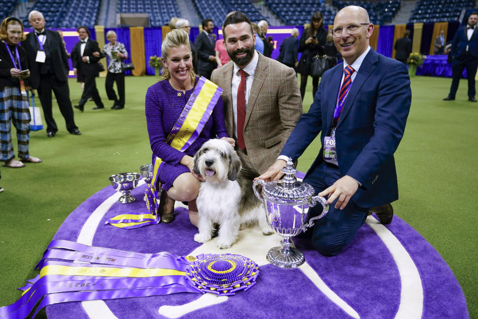 Handler Janice Hays, left, her husband, Eric, center, and breeder Gavin Robertson pose for photos with Buddy Holly, a petit basset griffon Vendéen, after he won best in show during the 147th Westminster Kennel Club Dog show, Tuesday, May 9, 2023, at the USTA Billie Jean King National Tennis Center in New York. (AP Photo/Mary Altaffer)
