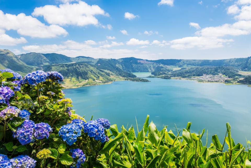 lake of sete cidades with hortensias, azores, portugal europe