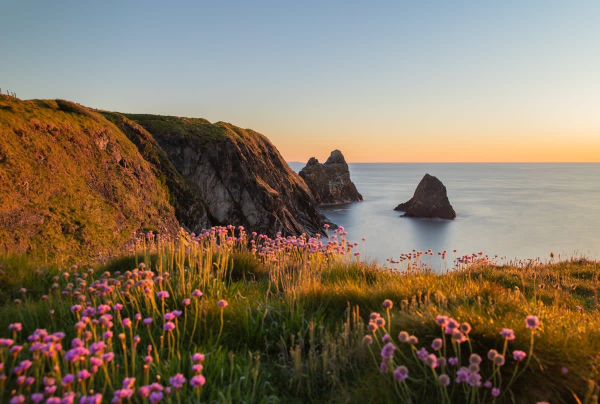 Pembrokeshire’s coastal landscapes are a joy to explore (Getty Images/iStockphoto)